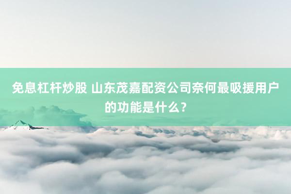 免息杠杆炒股 山东茂嘉配资公司奈何最吸援用户的功能是什么?