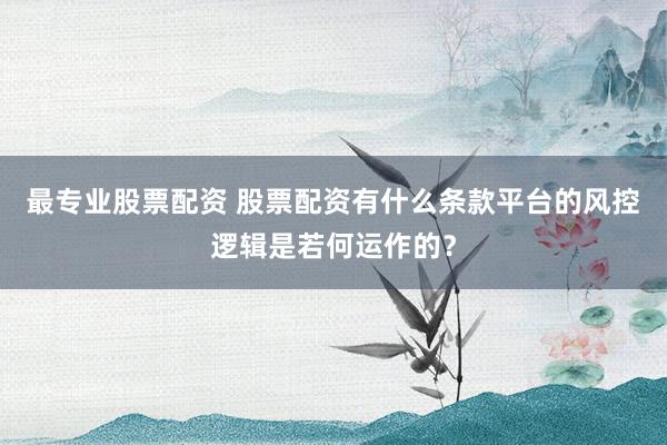 最专业股票配资 股票配资有什么条款平台的风控逻辑是若何运作的?