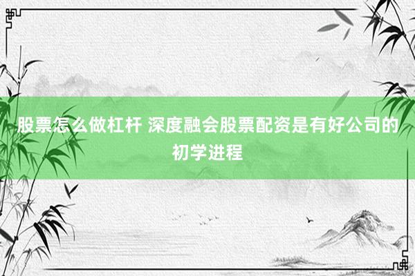 股票怎么做杠杆 深度融会股票配资是有好公司的初学进程